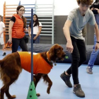 Terapia con perros en la Escuela Lleó XIII de Barcelona
