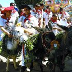 Un momento de la carrera de burros celebrada en 2011.