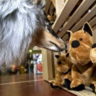 Un perro olfatea unos peluches en una feria suiza especializada en mascotas que se ha celebrado esta