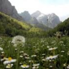 Picos de Europa será uno de los espacios que los usuarios de las gasolineras podrán admirar