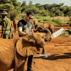 Miguel Ángel Silvestre ayuda a dar el biberón a un elefante de seis meses en Kenia.