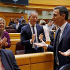 Pedro Sánchez en el Senado