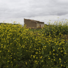Imagen de Cimanes de la Vega, una de las zonas ‘congeladas’ de la provincia. JESÚS F. SALVADORES