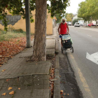 Un peregrino, ayer con su carrito, obligado a caminar por el asfalto ante las dificultades. L. DE LA MATA