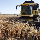 Abanca refuerza su compromiso con el sector agrícola leonés