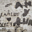 JESÚS f. salvadores