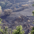 Paisaje en La Cabrera después del incendio.