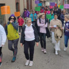 Un momento de la marcha celebrada ayer. DL