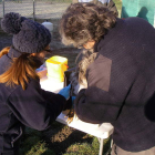 Técnicos de Instituto Nacional de Investigación Agraria y Alimentaria recogen muestras de semen en el Curueño. DL