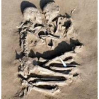 Imagen de los cuerpos abrazados hallados en Mantua