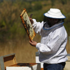 Un apicultor de la provincia de León atendiendo sus colmenas. FERNANDO OTERO
