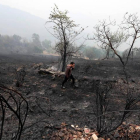 Situación en la que quedó el paisaje en la localidad berciana de Silván.