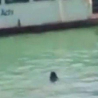 Imagen del inmigrante gambiano, en aguas del canal de Venecia en uno de los vídeos que circula por YouTube.