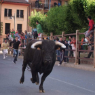 Los encierros son ya una tradición en las fiestas de Sahagún. ACACIO