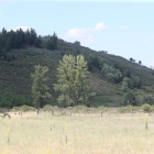 Parte de los terrenos en los que se ubicarán la plantación. L. DE LA MATA