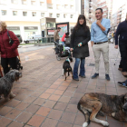 La calle del Cristo, en el centro de Ponferrada, fue ayer un lugar de paseo para los perros. DE LA MATA