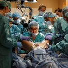 Médicos y cirujanos de varios países ensayan en Alicante. PEP MORELL