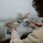 El laboratorio del Instituto de Biotecnología de León, ligado a la implantación de Medicina en León