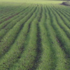 Un campo de cultivo en una zona del Páramo leonés.