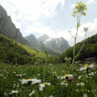 Paraje cercano a Posada de Valdeón, en el corazón de Picos de Europa.