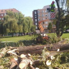 dl
