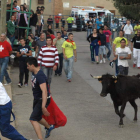 Imagen de archivo de uno de los encierros de vaquillas por las calles de Villademor. MEDINA