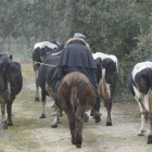 El medio rural se beneficiará de un programa europeo que auspician la Junta y Portugal. DL