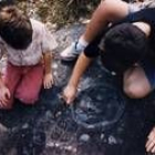 Cataluña es la comunidad  donde han sido acogidos más niños extranjeros