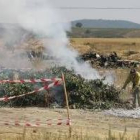 Destrucción de frutales con fuego bacteriano en Valdefresno