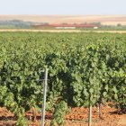 Fachada de la bodega Gordonzello, ubicada en Gordoncillo.