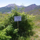 Entrada a la reserva regional de caza en Picos de Europa.