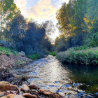 El Ayuntamiento de Valderrey, a través de la concejalía de Medio Ambiente ha puesto en valor la Ruta de las Cárcavas y la Vía verde a orillas del río Tuerto con la ayuda del ornitólogo leonés José Alberto Fernández, entre otros especialistas.
