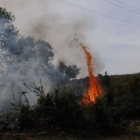 El mes de agosto está siendo pródigo en incendios forestales en la provincia.