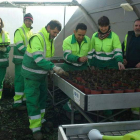 Los alumnos realizarán trabajos de plantación de flores de temporada en el barrio de La Sal. DL
