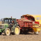 Trabajo de recolección de un agricultor en una finca leonesa.