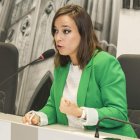 Villarroel anunció ayer su postura. FERNADO OTERO PERANDONES
