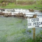 Los ríos con caudal regulado despiden este fin de semana la temporada de pesca.