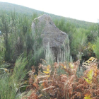 Menhir descubierto en las inmediaciones de la pedanía de Tejeira, perteneciente al municipio de Villafranca del Bierzo