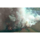 El incendio que asola el bosque de alto valor ecológico refugio de urogallos en Quintana del Castillo