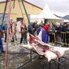 Aún quedan personas que dominan las técnicas de todo el proceso de la matanza y limpieza del gocho. CAMPOS