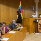 El Día del Orgullo Gay tuvo un momento de presencia en el pleno. FERNANDO OTERO