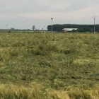 Aspecto que mostraba ayer una explotación de trigo en la zona del Canal del Páramo. DL