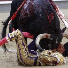 Sergio Flores, durante la cogida al entrar a matar.