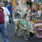 Vecinos y visitantes disfrutaron de las actividades de la feria medieval