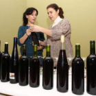 Las muestras que concurrieron al concurso de Cabañas.