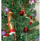 Una serpient tigre se ha colado en el árbol de Navidad de una mujer de Melbourne.