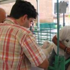 Los jueces observan atentos la dentadura de una de las ovejas