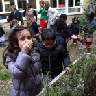 Una de las pequeñas del colegio oliendo una de las plantas. DL