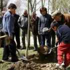 Pequeños y mayores se mezclaron en el parque de La Candamia de la capital para plantar los 6 fresnos