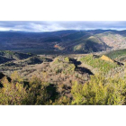 Terrenos de la Junta Vecinal de Veguellina (Villafranca) donde se pretenden plantar una hectárea de castaños injertados. M.F.